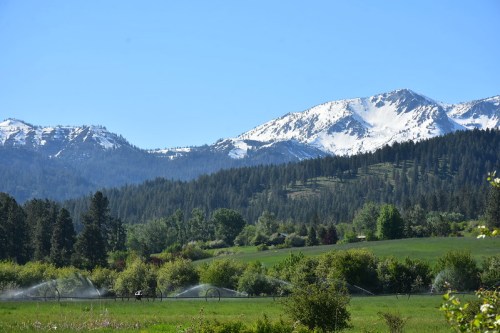 A scenic landscape featuring green fields, trees, and snow-capped mountains under a clear blue sky.
