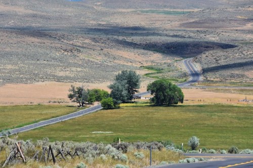 A winding road through a grassy landscape with scattered trees and rolling hills in the background.
