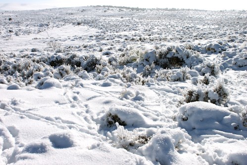 A snowy landscape with patches of snow-covered ground and sparse vegetation under a bright sky.