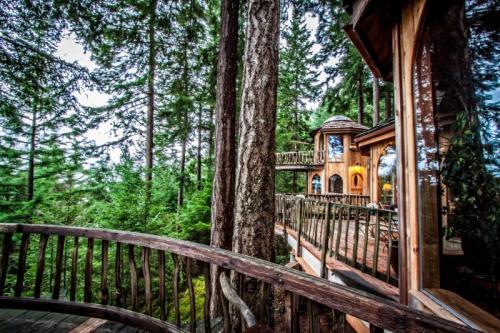 A wooden treehouse nestled among tall trees, featuring a wraparound deck and large windows.
