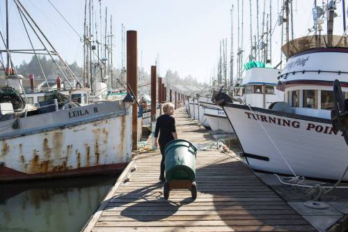 A child pushes a green cart along a wooden dock lined with fishing boats in a foggy harbor.