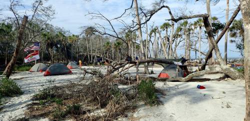 A campsite on a sandy beach with tents, fallen trees, and sparse vegetation, surrounded by palm trees and a flag.