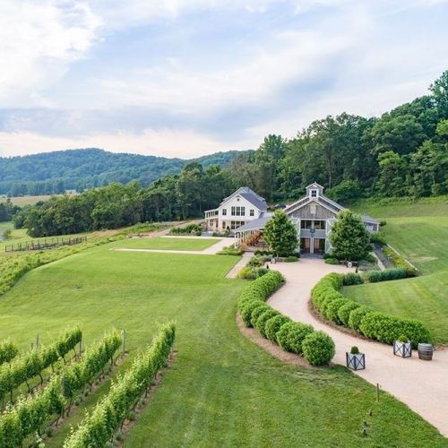 A scenic view of a vineyard with a house and lush green hills in the background under a clear blue sky.