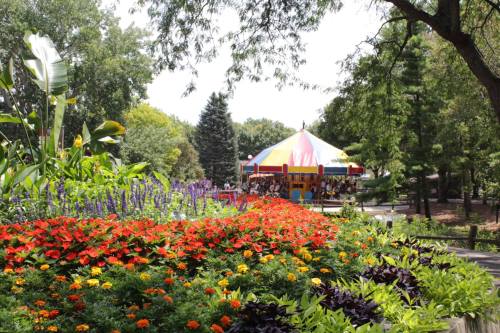 A vibrant garden filled with colorful flowers, leading to a carousel under a striped canopy in a park.