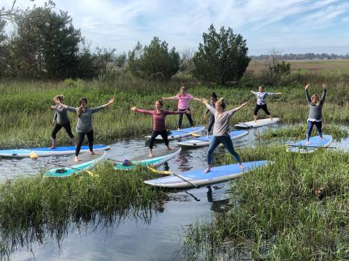 A group of women practicing yoga on paddleboards in a grassy waterway, surrounded by trees and a clear sky.