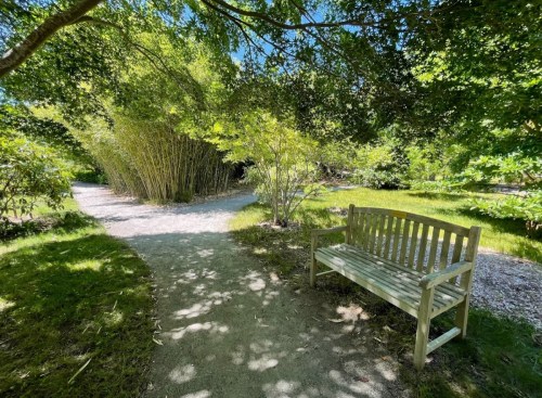 A wooden bench sits on a path surrounded by lush greenery and bamboo, inviting a moment of rest in nature.