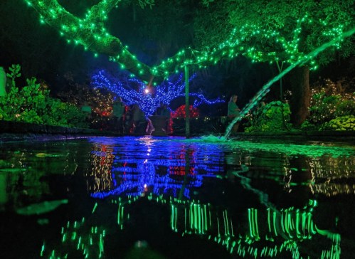 A serene garden scene illuminated by green and blue lights, reflecting in a calm water surface.