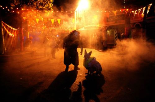 A shadowy figure and a dog in a foggy, festive setting with colorful lights and banners.