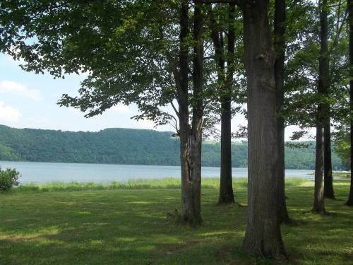 A serene lake view framed by tall trees, with green hills in the background under a clear blue sky.