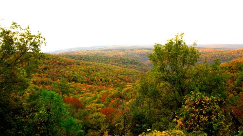 A panoramic view of a colorful autumn landscape with rolling hills and vibrant foliage.