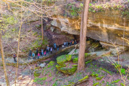 A group of hikers walking along a rocky path under a large overhang, surrounded by trees and moss.