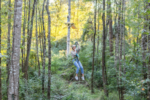 A person zip-lining through a forest, surrounded by trees and greenery, with sunlight filtering through the leaves.