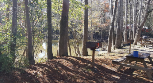 A serene forest scene with tall trees, a picnic table, and a calm pond in the background.