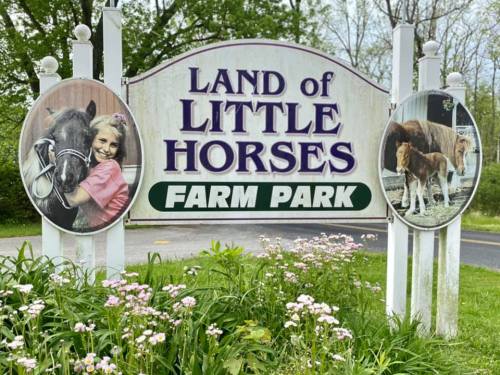 Sign for "Land of Little Horses Farm Park" featuring images of a girl with a horse and a foal. Surrounded by greenery.