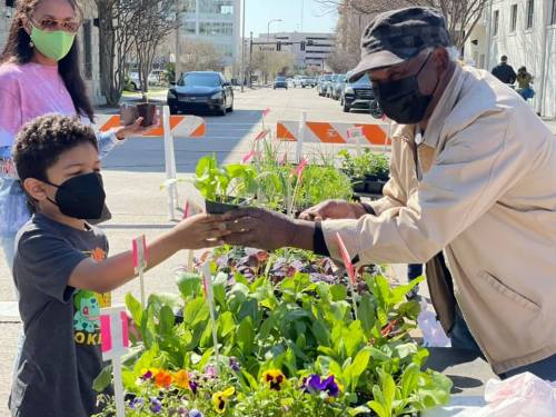 A child hands a plant to an elderly man at a community garden event, both wearing masks, surrounded by flowers.