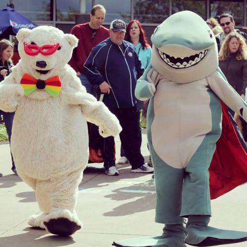 Two costumed characters, a bear in glasses and a rainbow bow tie, and a shark in a cape, walk together at an outdoor event.