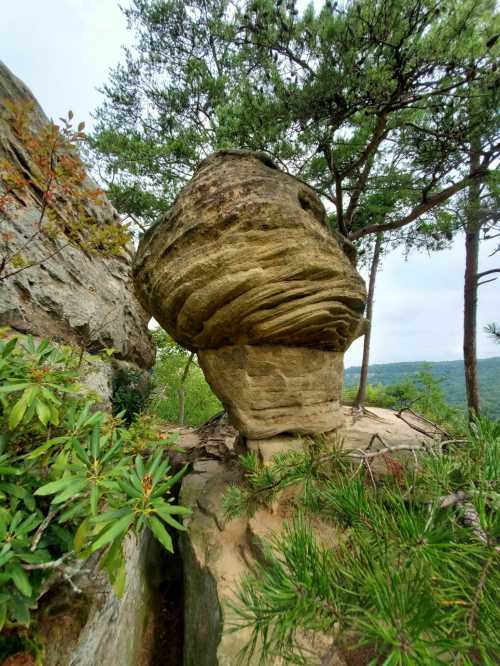 A unique rock formation resembling a mushroom, surrounded by trees and greenery in a natural landscape.