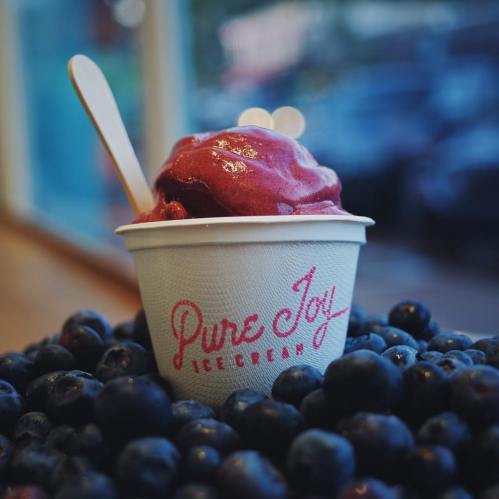 A cup of vibrant red ice cream sits atop a pile of fresh blueberries, with a wooden spoon and "Pure Joy Ice Cream" logo visible.