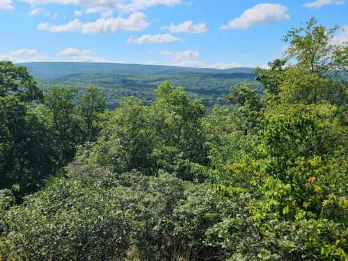 Lush green trees and rolling hills under a bright blue sky with fluffy clouds. A serene natural landscape.