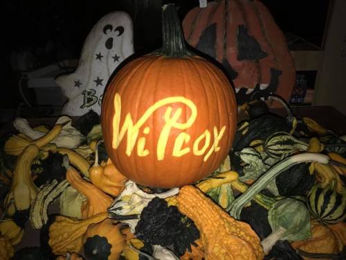 A carved pumpkin with "WiPloX" written in yellow, surrounded by various colorful gourds and a ghost decoration.