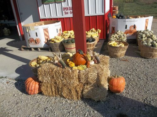 A display of pumpkins and various squash on hay bales outside a farm stand, with baskets of produce nearby.