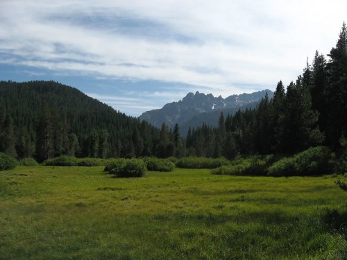 A lush green meadow surrounded by tall trees and mountains under a partly cloudy sky.