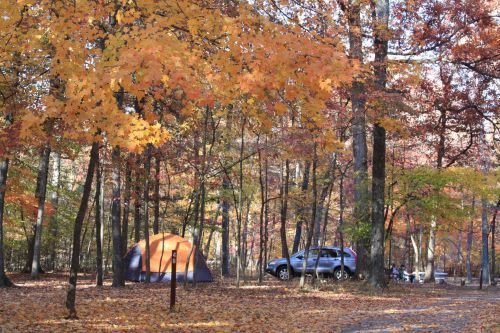 A bright orange tent set among colorful autumn trees, with a parked car nearby in a serene camping area.