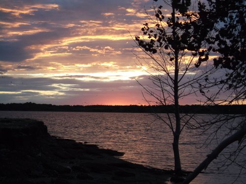 A serene sunset over a lake, with vibrant colors reflecting on the water and a silhouette of a tree in the foreground.