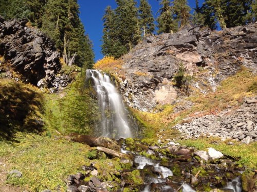 A serene waterfall cascades down rocky terrain, surrounded by lush greenery and tall trees under a clear blue sky.