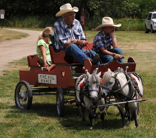An elderly man and two children sit in a cart pulled by two miniature horses at Pine Hill Ranch.