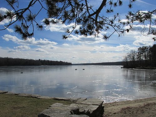 A serene lake scene with a clear sky, ice on the water, and distant boats under a tree-lined shore.