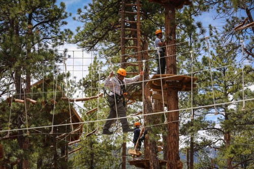 Three people navigate a treetop obstacle course, wearing helmets and harnesses, surrounded by trees and blue skies.