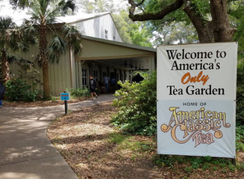 Sign welcoming visitors to America's only tea garden, featuring lush greenery and a building in the background.