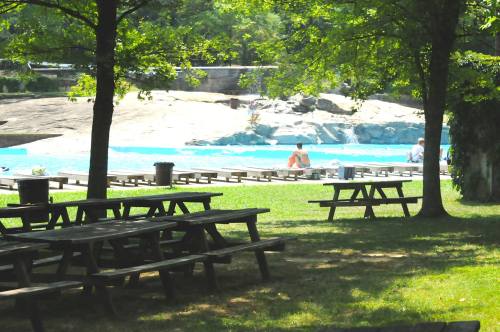 A serene outdoor scene with picnic tables, green grass, and a pool in the background, surrounded by trees.