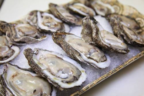 A platter of fresh oysters on ice, showcasing their open shells and glistening meat.