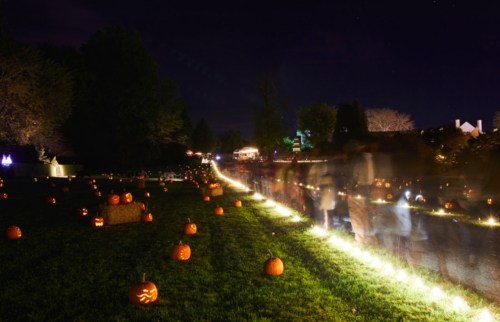 A nighttime scene of a pumpkin patch with glowing jack-o'-lanterns and a winding path illuminated by lights.