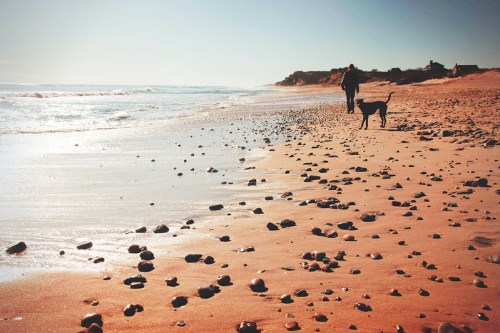 A person walks along a sandy beach with a dog, surrounded by pebbles and gentle waves under a clear sky.