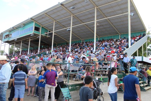 A large crowd gathers in a grandstand at an outdoor event, with people seated and standing in a lively atmosphere.