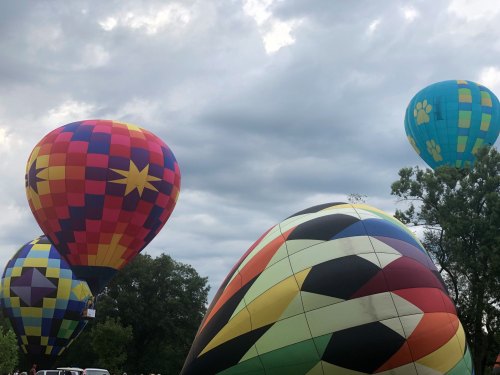 Colorful hot air balloons in various patterns float against a cloudy sky, surrounded by trees.