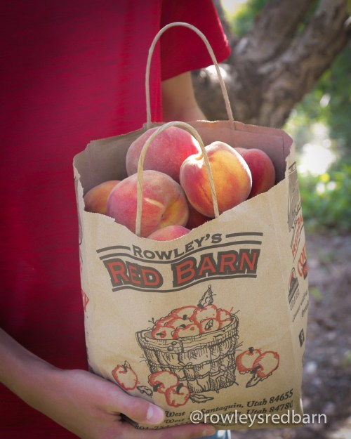 A person holds a paper bag filled with fresh peaches, with a tree in the background. The bag features a farm logo.