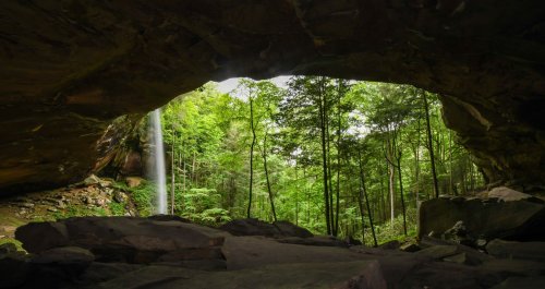 A lush green forest viewed through a cave opening, with a waterfall cascading in the background.