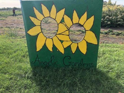 A colorful sign with two painted sunflowers and the text "Angelic Gardens" in a green field.