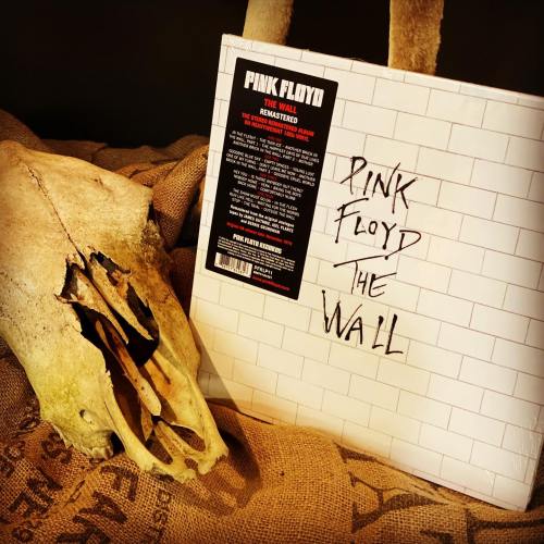 A skull next to a vinyl record of Pink Floyd's "The Wall," displayed on a textured surface.