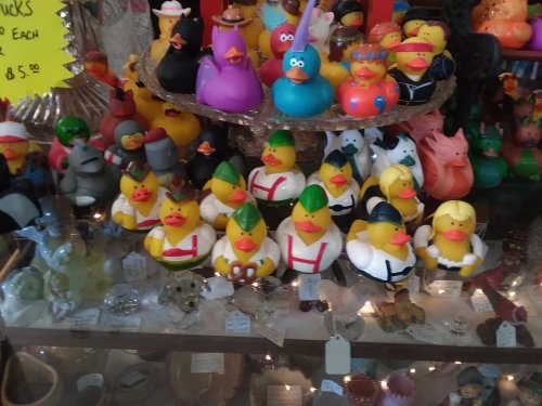 A colorful display of various rubber ducks in different costumes and styles, arranged on a glass shelf.