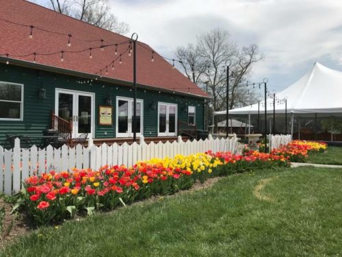 A green house with a red roof, surrounded by colorful tulips and a white picket fence, under a cloudy sky.