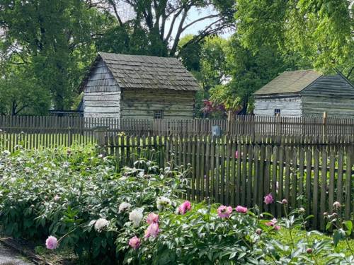 Two rustic wooden cabins surrounded by a picket fence and blooming peonies in a lush green landscape.