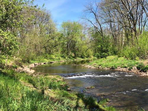 A serene river flows through a lush green landscape, surrounded by trees and bright blue skies.