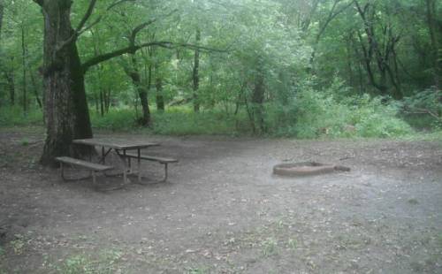 A secluded campsite with a picnic table and a fire pit, surrounded by lush green trees and underbrush.
