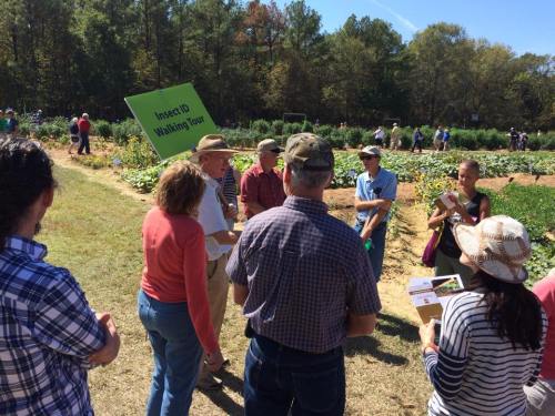 A group of people gathers in a field for a walking tour, discussing plants with a sign in the background.