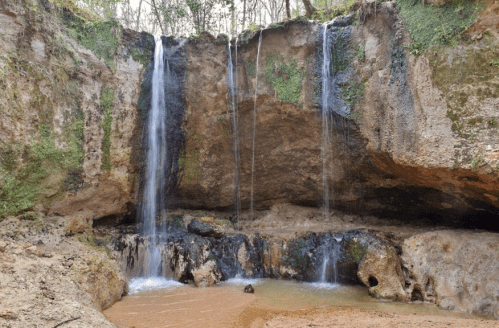 A serene waterfall cascading over rocky cliffs into a calm pool surrounded by lush greenery.